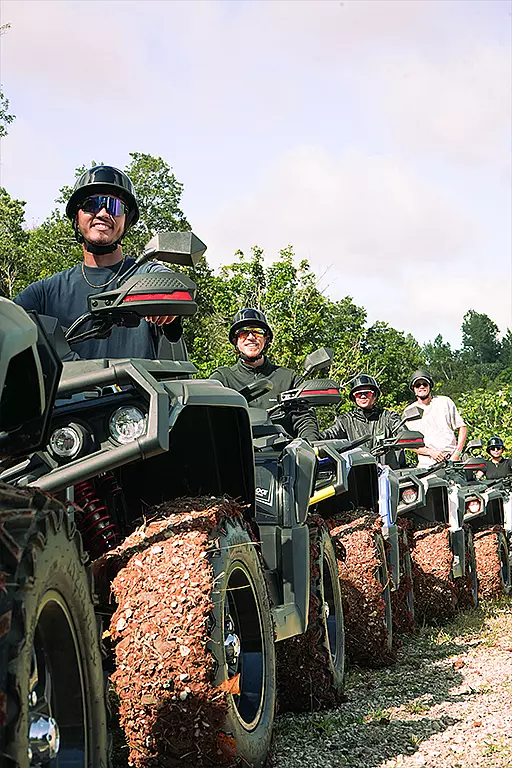 TORO ATV