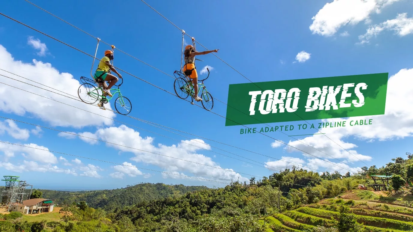 Toro Verde Adventure Park