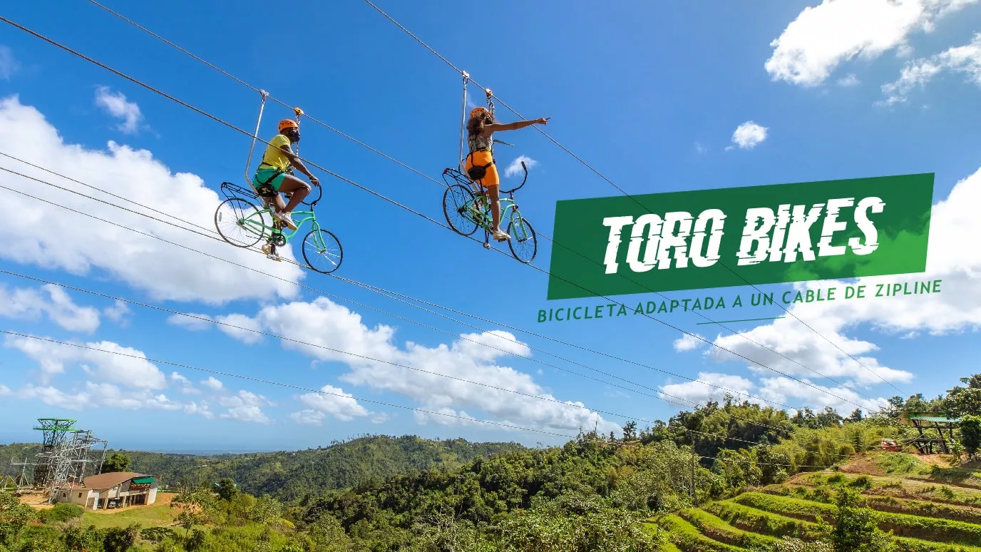 Toro Verde Adventure Park